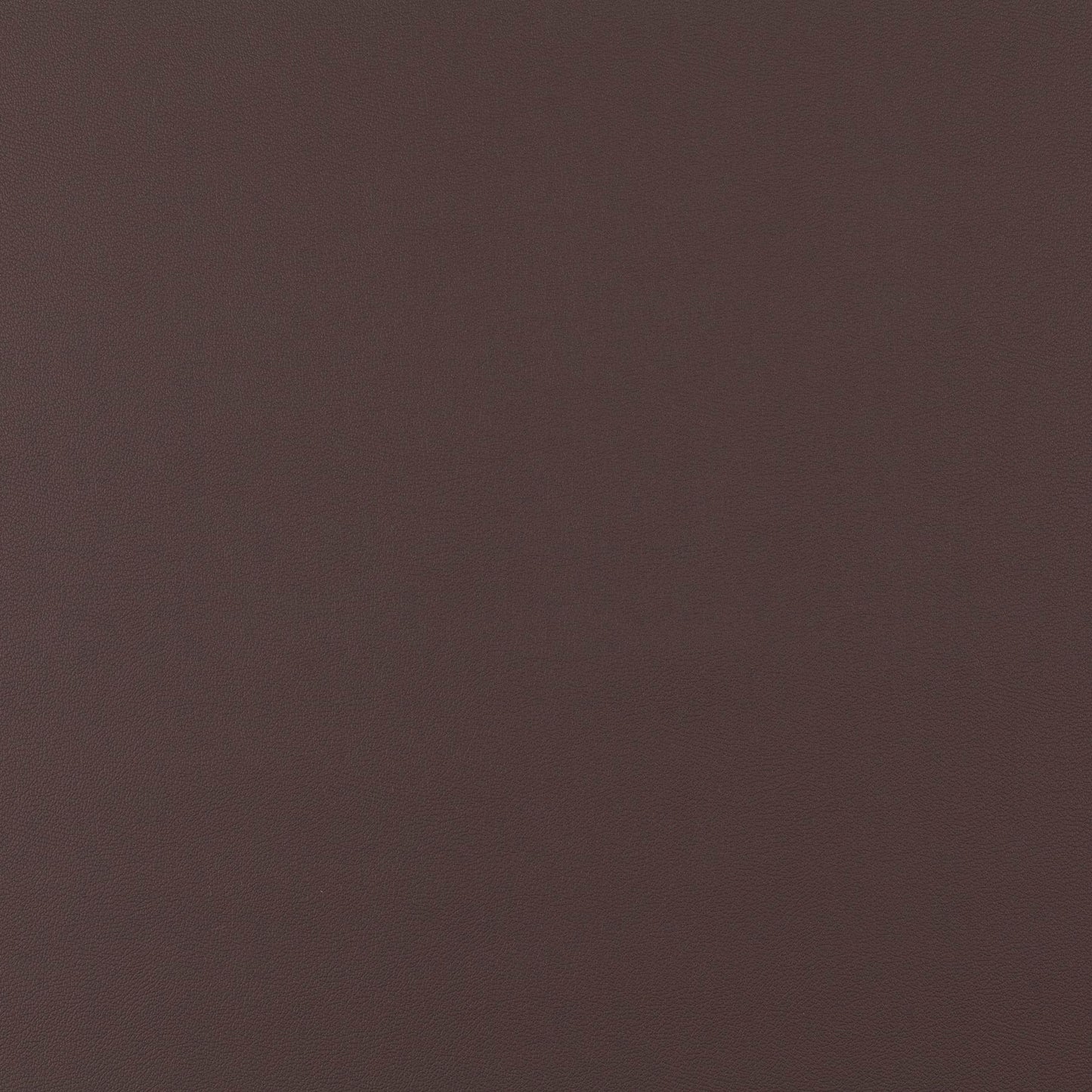 Jab Anstoetz Gauchito Colour 46