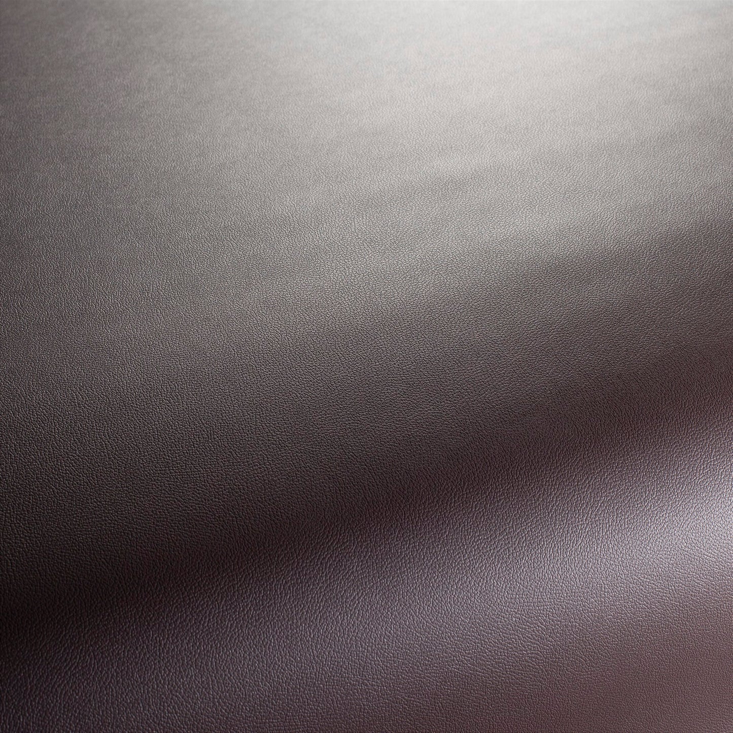 Jab Anstoetz Gauchito Colour 46