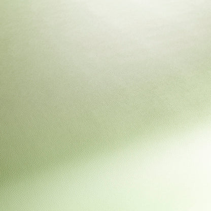 Jab Anstoetz Gauchito Colour 10