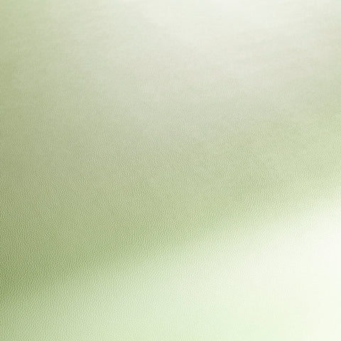 Jab Anstoetz Gauchito Colour 10