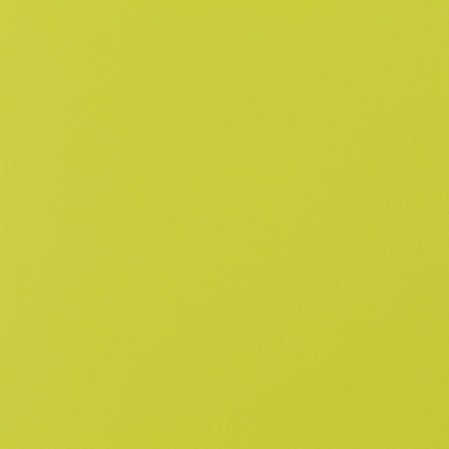 Jab Anstoetz Gauchito Colour 11