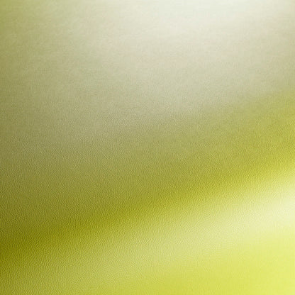 Jab Anstoetz Gauchito Colour 11