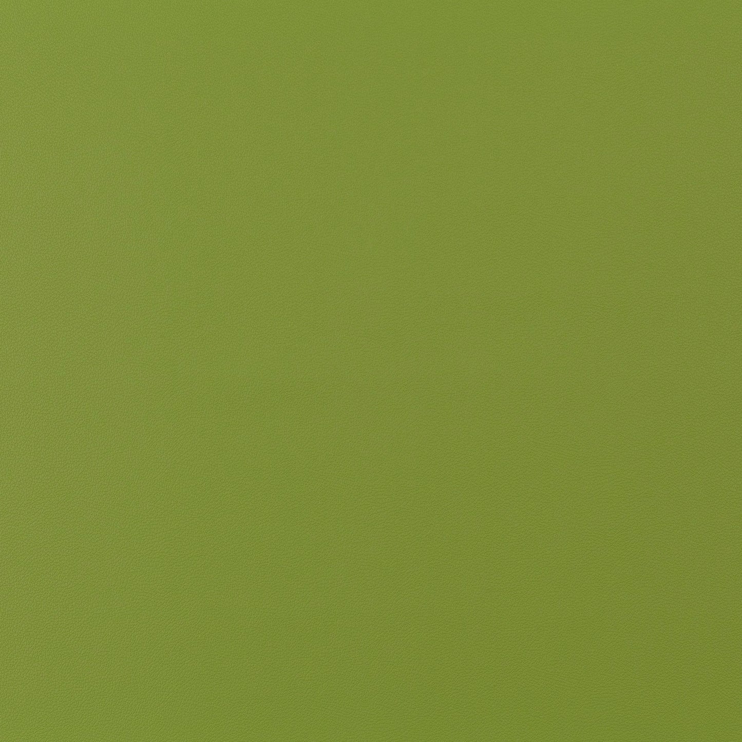 Jab Anstoetz Gauchito Colour 13