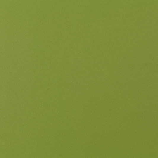 Jab Anstoetz Gauchito Colour 13