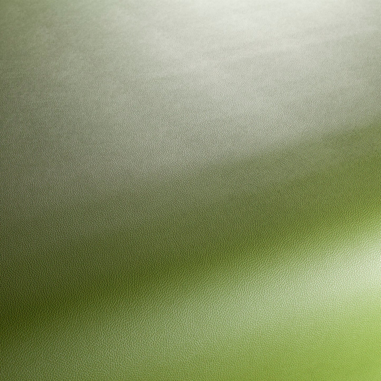 Jab Anstoetz Gauchito Colour 13