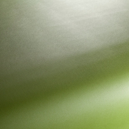 Jab Anstoetz Gauchito Colour 13