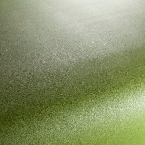 Jab Anstoetz Gauchito Colour 13