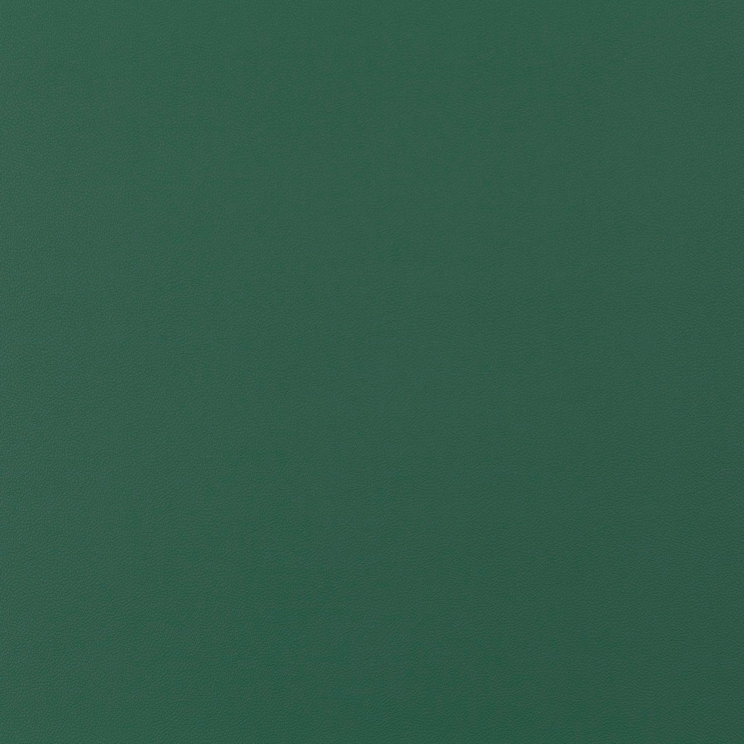 Jab Anstoetz Gauchito Colour 14