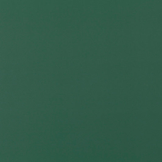 Jab Anstoetz Gauchito Colour 14