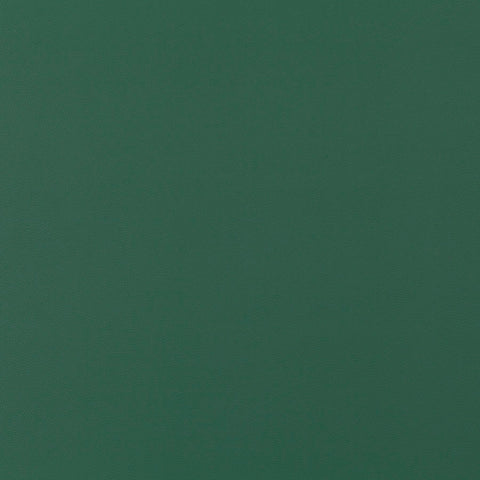 Jab Anstoetz Gauchito Colour 14