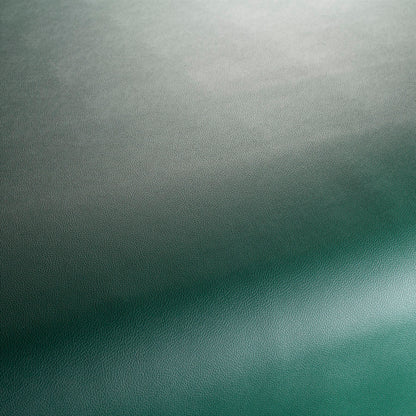 Jab Anstoetz Gauchito Colour 14