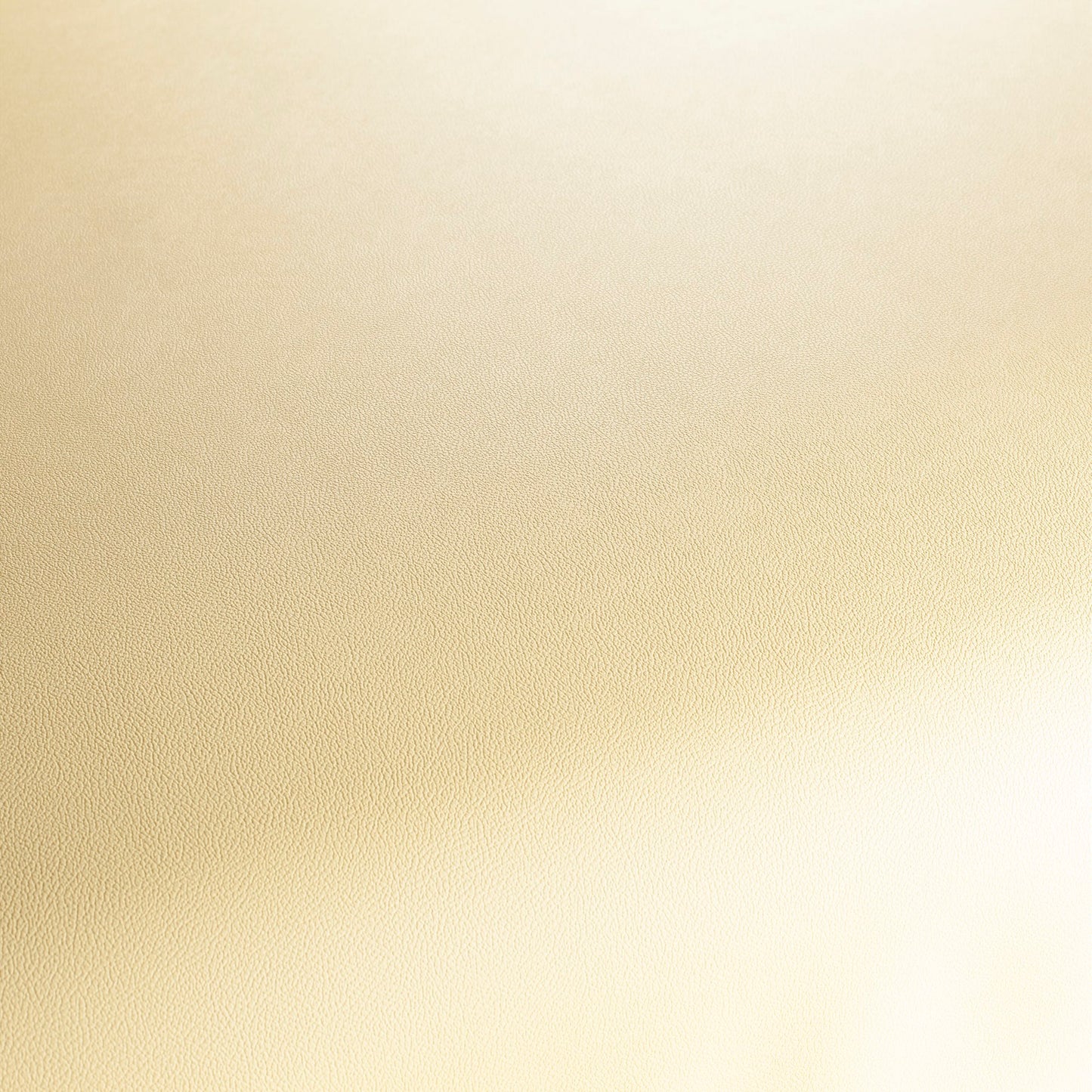 Jab Anstoetz Gauchito Colour 7