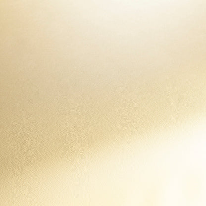 Jab Anstoetz Gauchito Colour 7