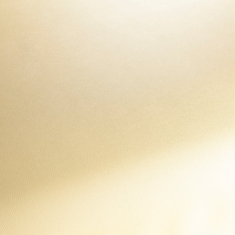 Jab Anstoetz Gauchito Colour 7