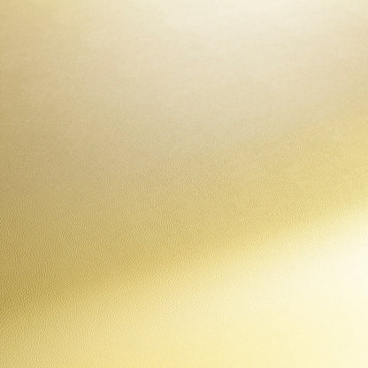 Jab Anstoetz Gauchito Colour 9