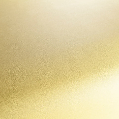 Jab Anstoetz Gauchito Colour 9