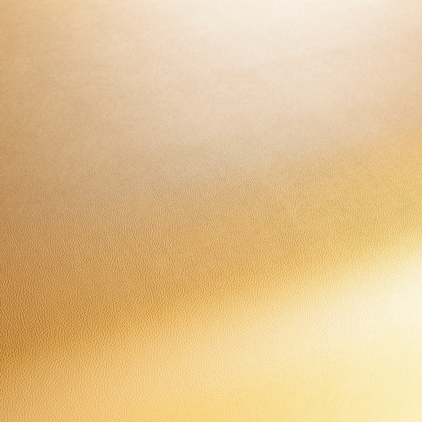 Jab Anstoetz Gauchito Colour 32