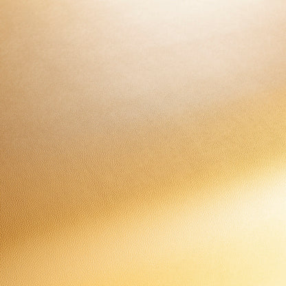 Jab Anstoetz Gauchito Colour 32