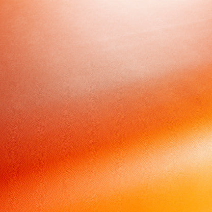 Jab Anstoetz Gauchito Colour 34