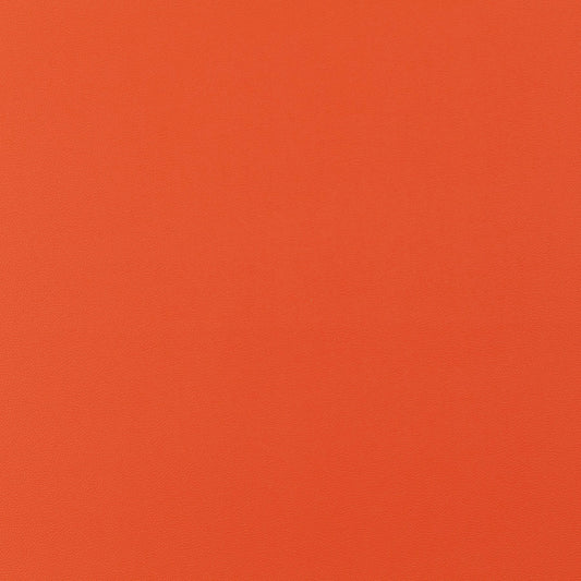 Jab Anstoetz Gauchito Colour 36