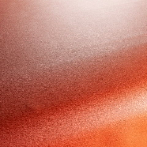 Jab Anstoetz Gauchito Colour 36