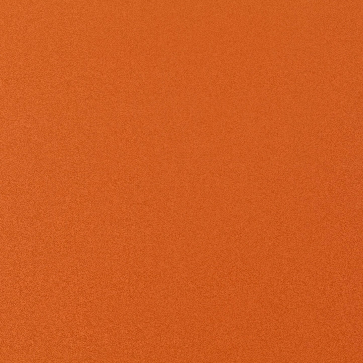 Jab Anstoetz Gauchito Colour 37