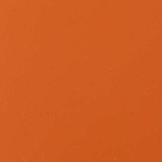 Jab Anstoetz Gauchito Colour 37