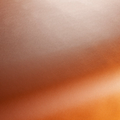 Jab Anstoetz Gauchito Colour 37