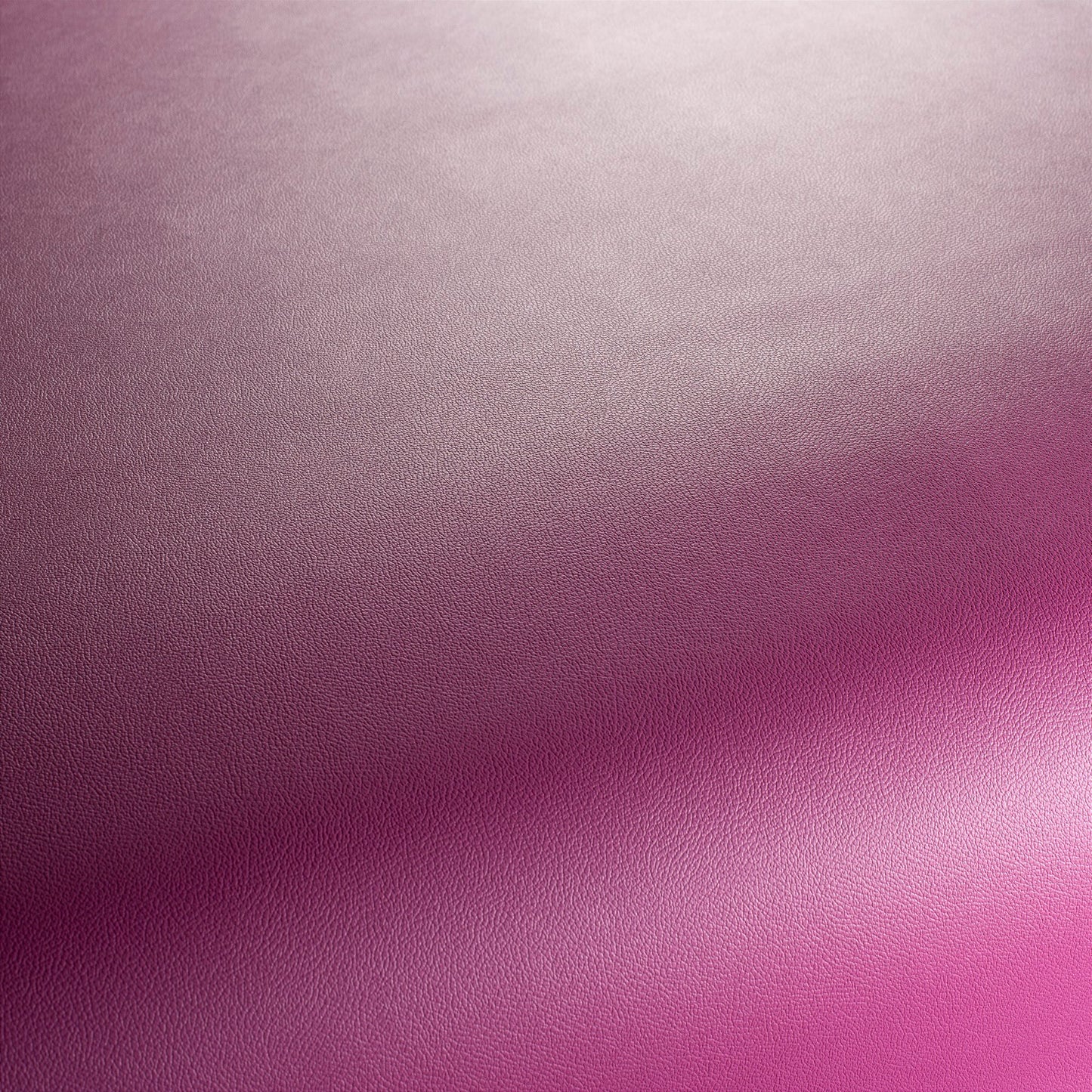 Jab Anstoetz Gauchito Colour 27