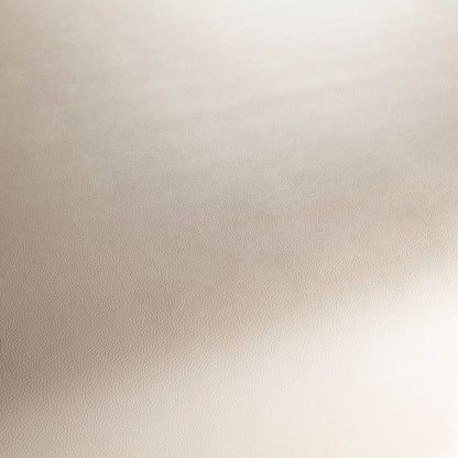 Jab Anstoetz Gauchito Colour 3