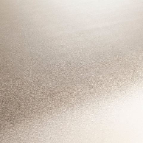 Jab Anstoetz Gauchito Colour 3