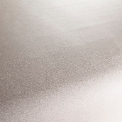 Jab Anstoetz Gauchito Colour 4