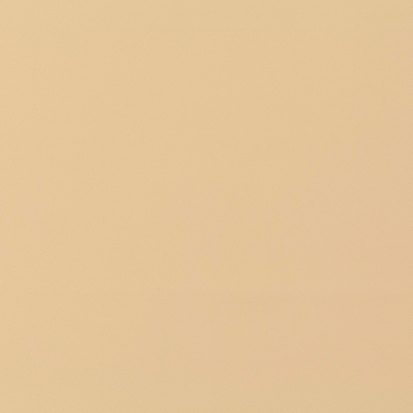 Jab Anstoetz Gauchito Colour 5