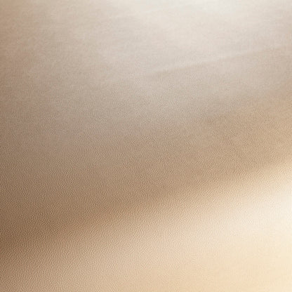 Jab Anstoetz Gauchito Colour 5