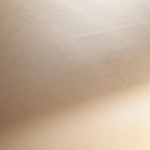 Jab Anstoetz Gauchito Colour 5