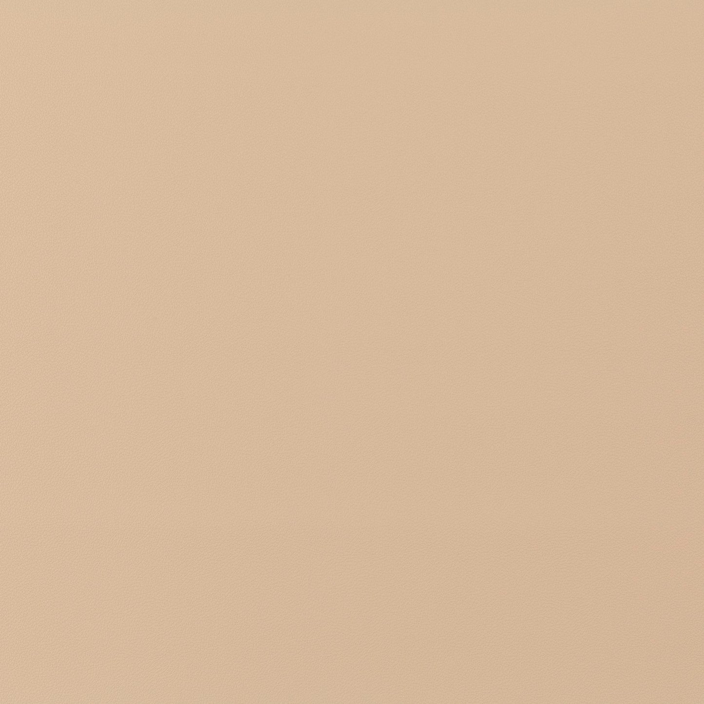 Jab Anstoetz Gauchito Colour 6