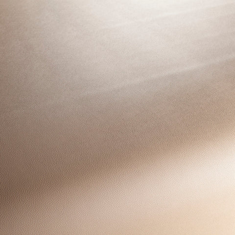 Jab Anstoetz Gauchito Colour 6