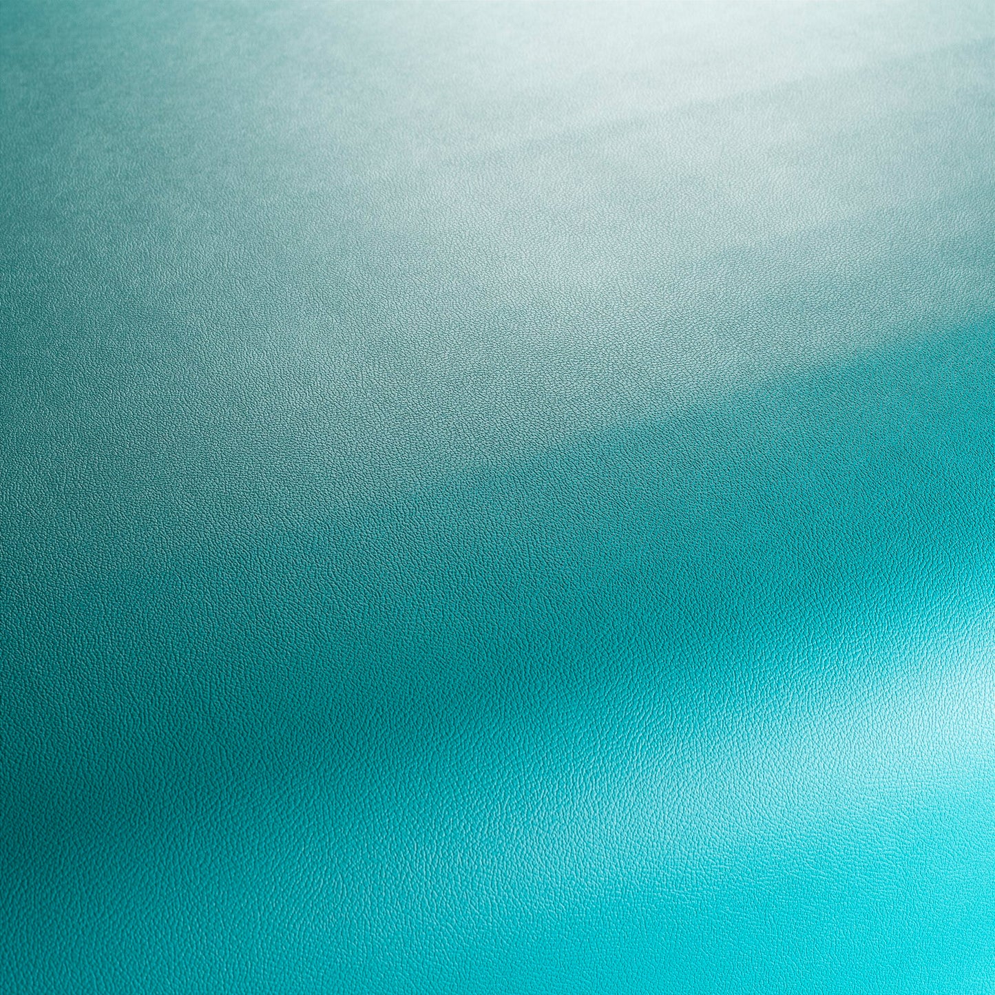 Jab Anstoetz Gauchito Colour 16