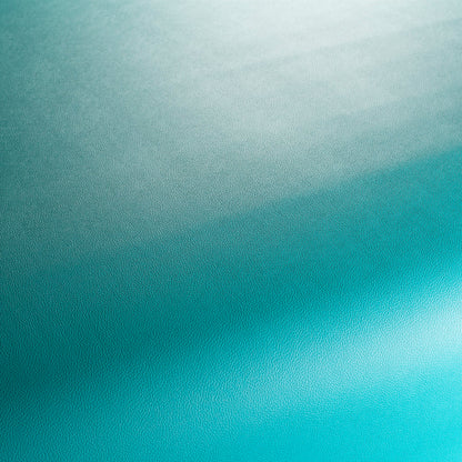 Jab Anstoetz Gauchito Colour 16