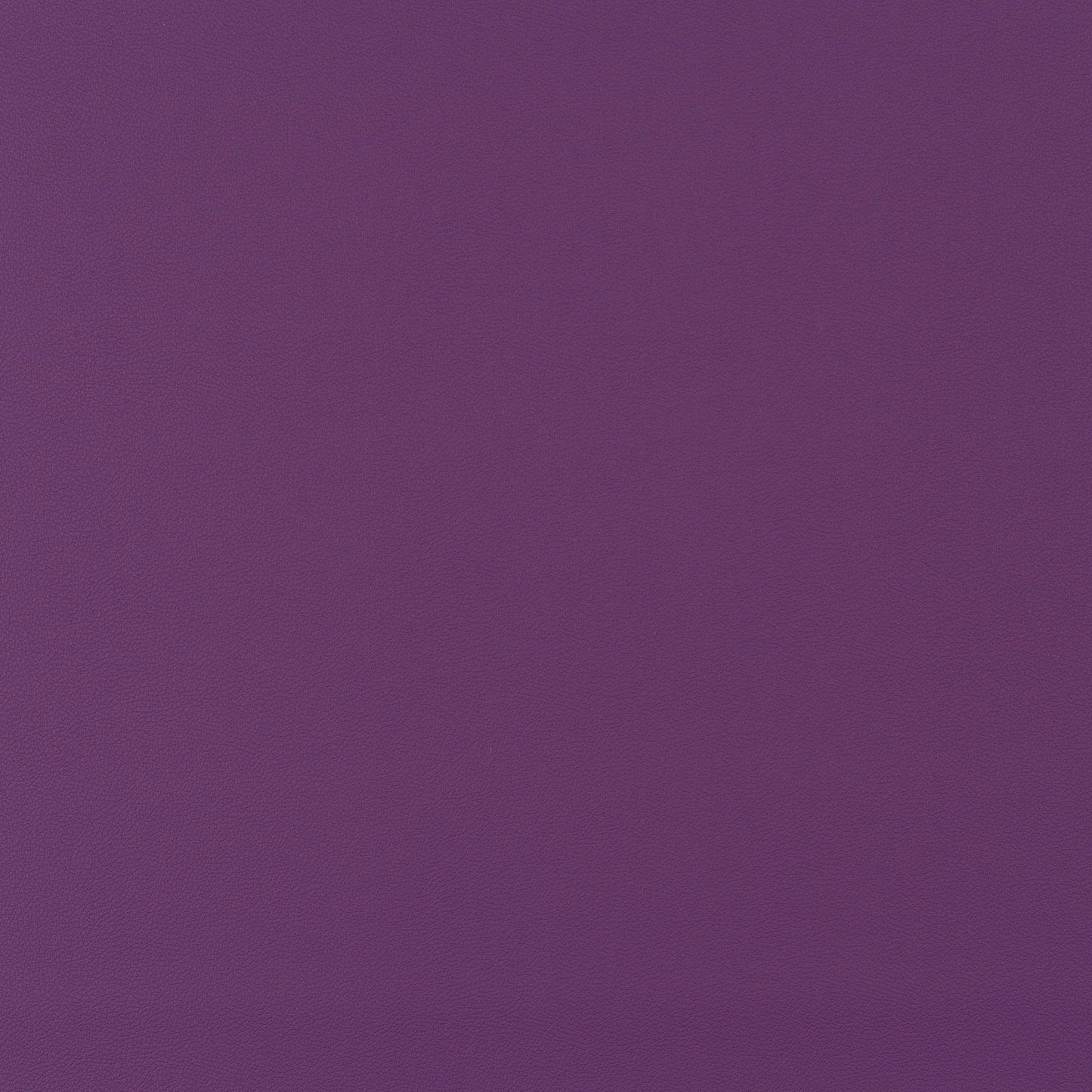 Jab Anstoetz Gauchito Colour 25