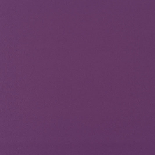 Jab Anstoetz Gauchito Colour 25