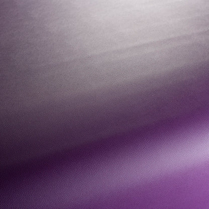 Jab Anstoetz Gauchito Colour 25