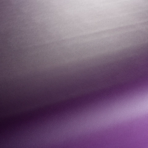 Jab Anstoetz Gauchito Colour 25