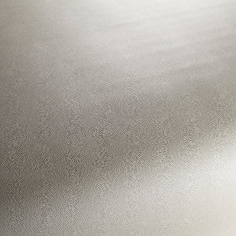 Jab Anstoetz Gauchito Colour 48