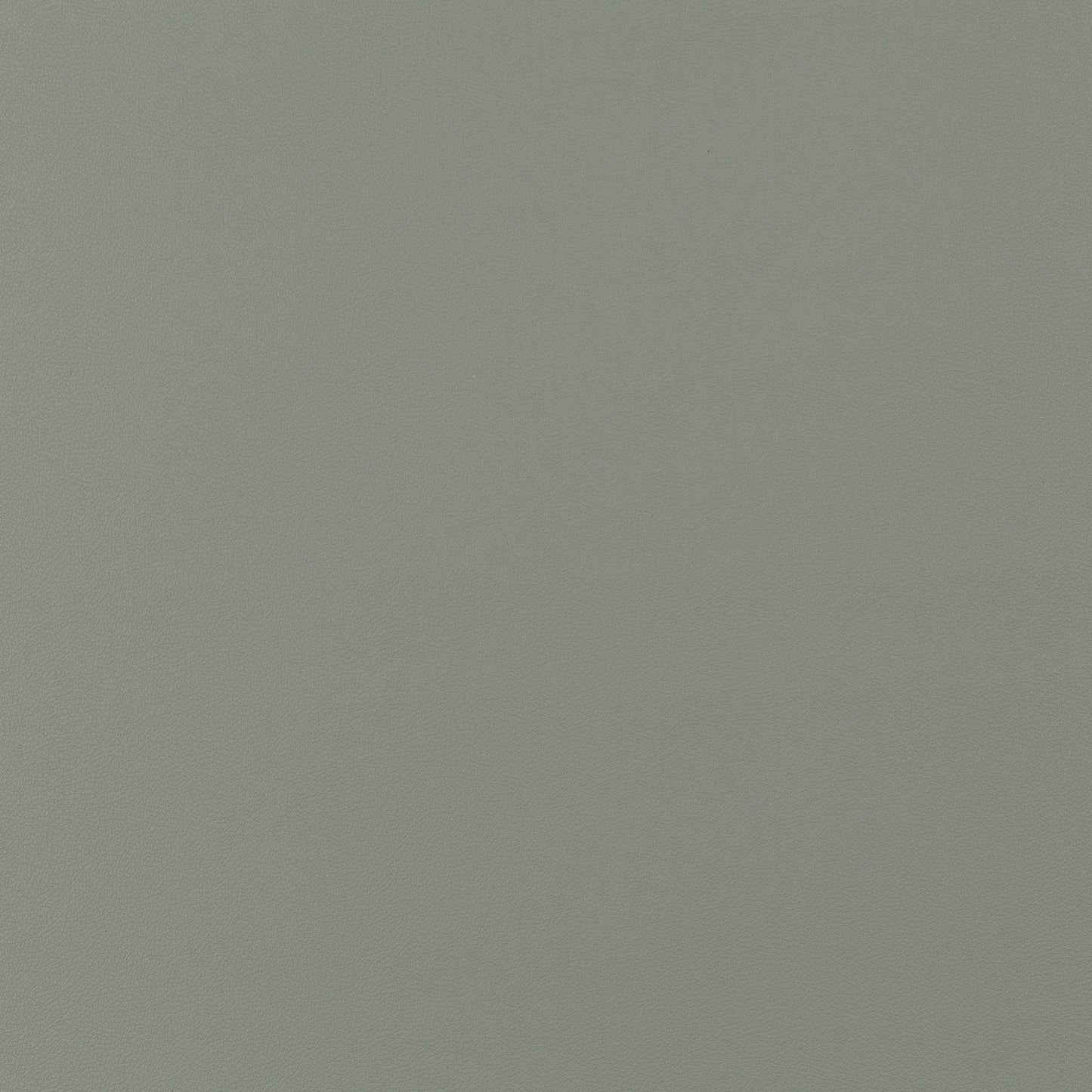 Jab Anstoetz Gauchito Colour 51