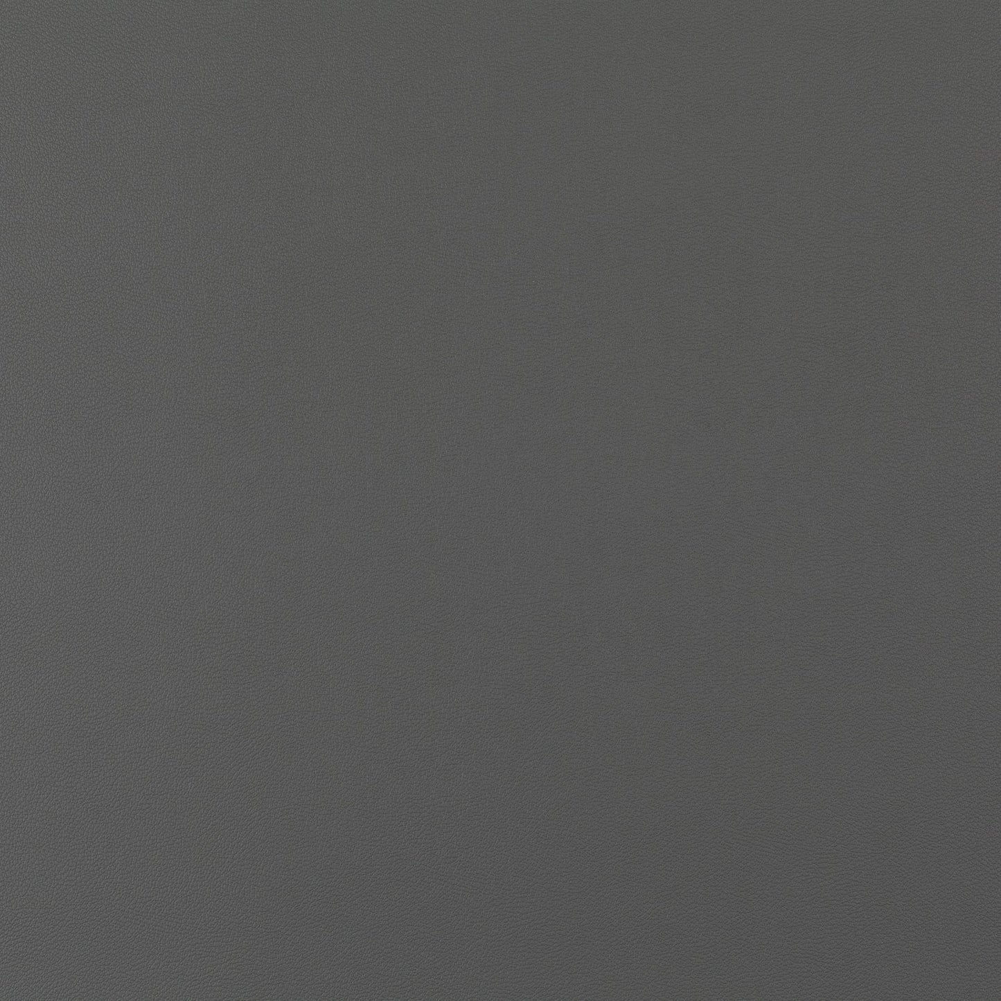 Jab Anstoetz Gauchito Colour 52