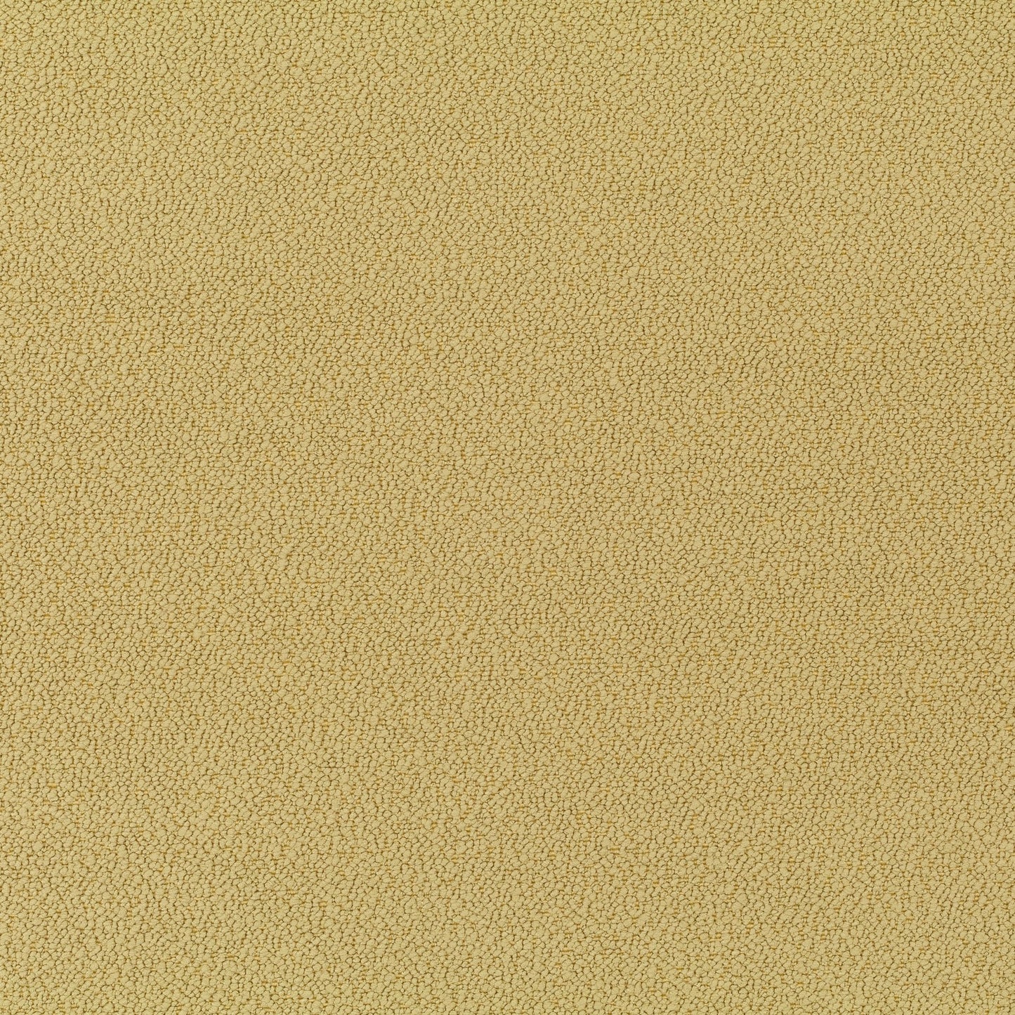 Jab Anstoetz Phil Colour 11