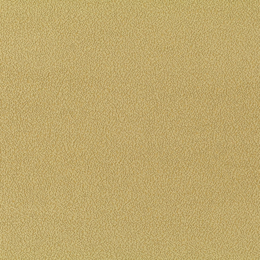 Jab Anstoetz Phil Colour 11