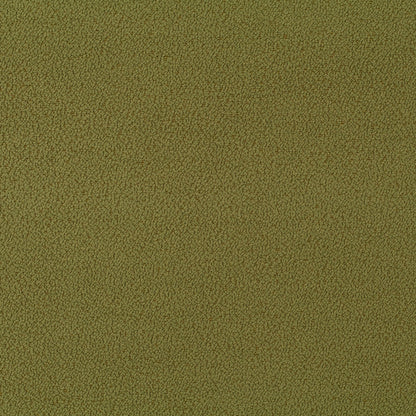 Jab Anstoetz Phil Colour 12