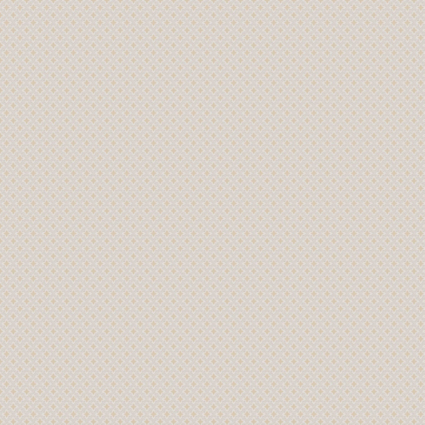 Jab Anstoetz Preston Colour 2